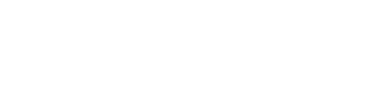 NZGovt logo