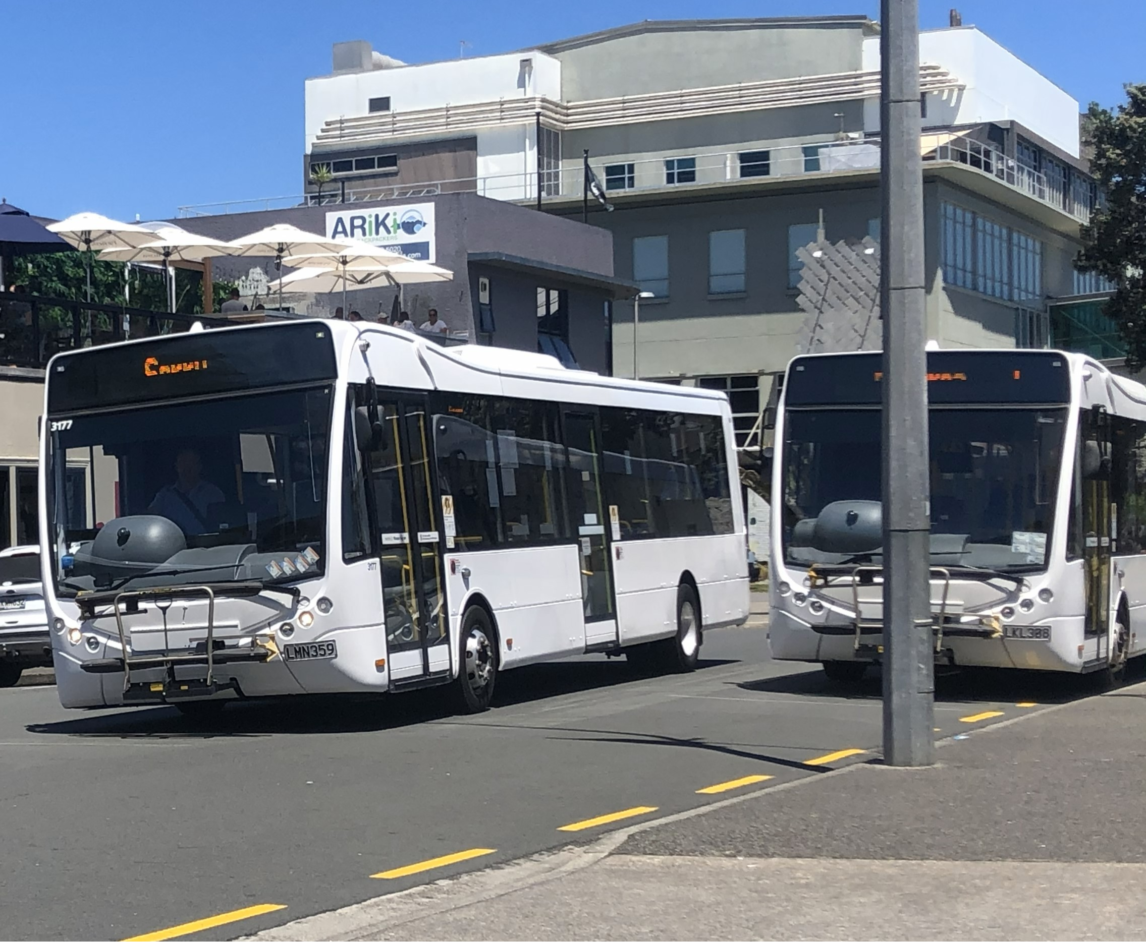 Image of large white bus driving in a suburban street